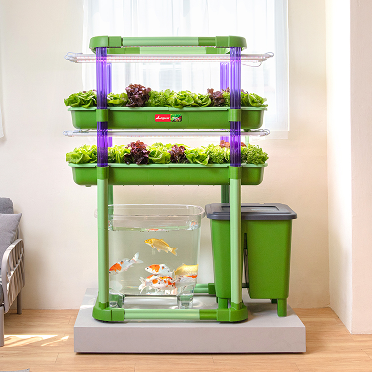 魚菜共生系統V3.0(2層)