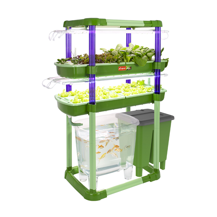 魚菜共生系統V3.0(2層)