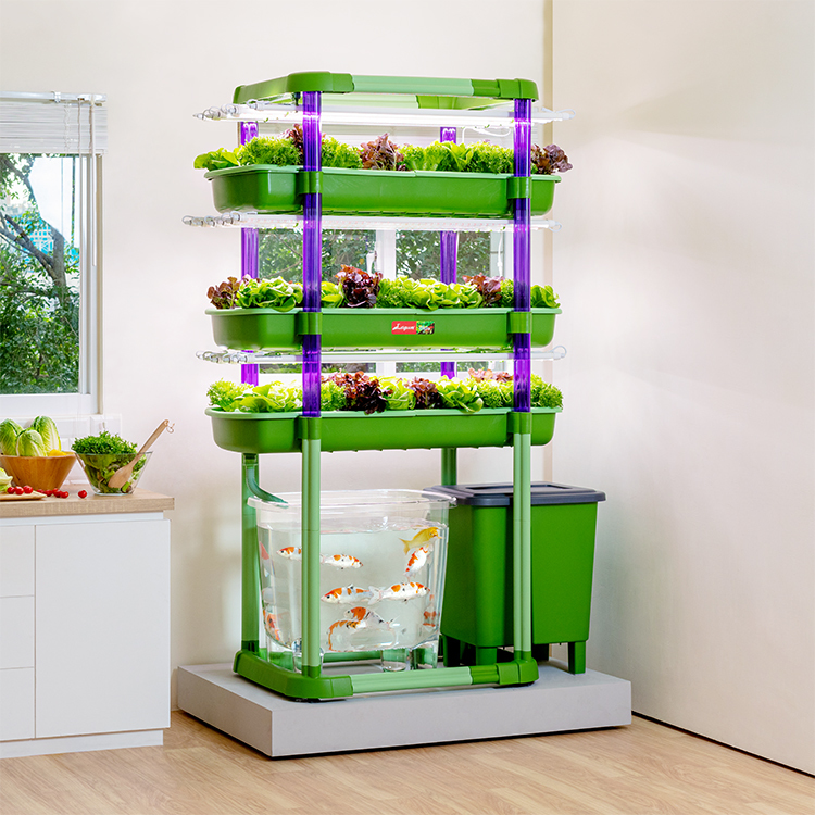 魚菜共生系統V3.0(3層)