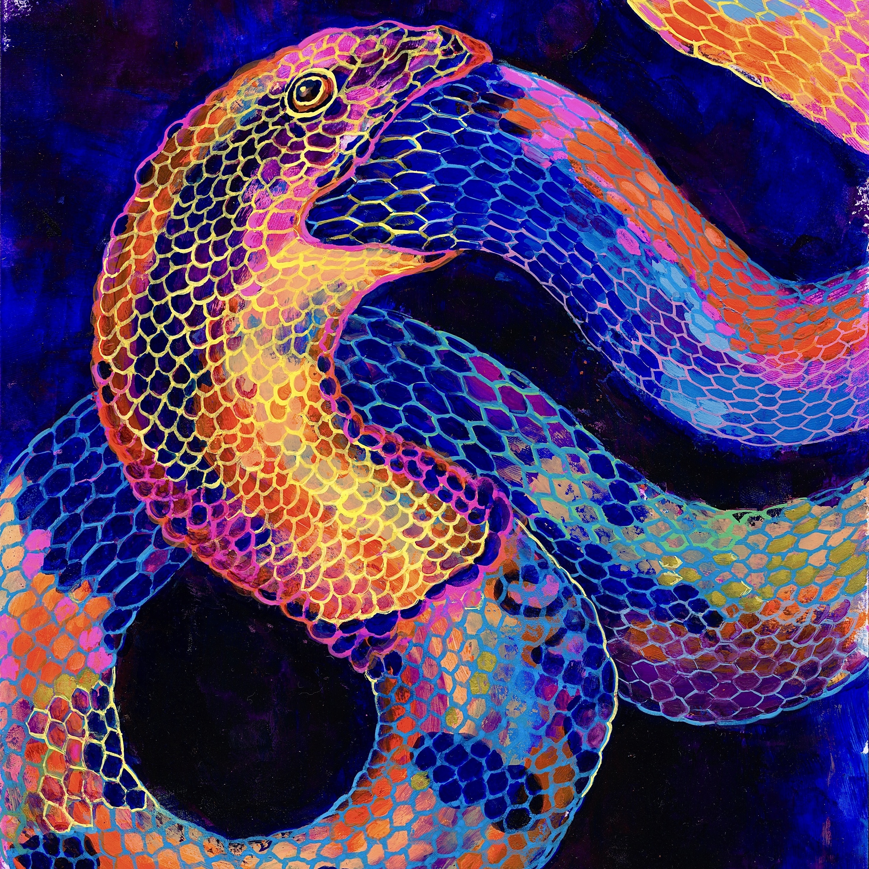 Dusa Naga《Metamorphosis》（限量簽名版黑膠LP）