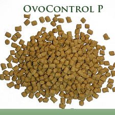 【OVOCONTROL】Bird Pest Population and Birth Control Bait for Pigeons (30 lbs)