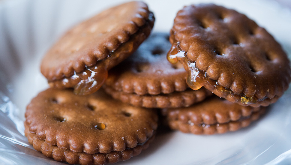 【竹柏苑】黑糖麥芽餅