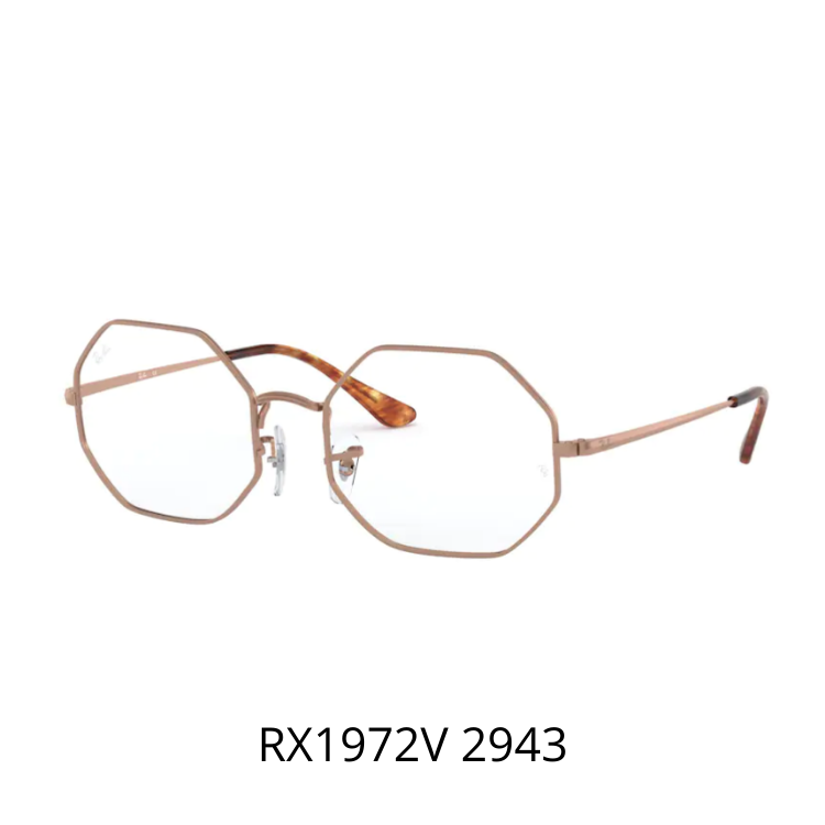 RayBan RX1972V 2943 眼鏡架