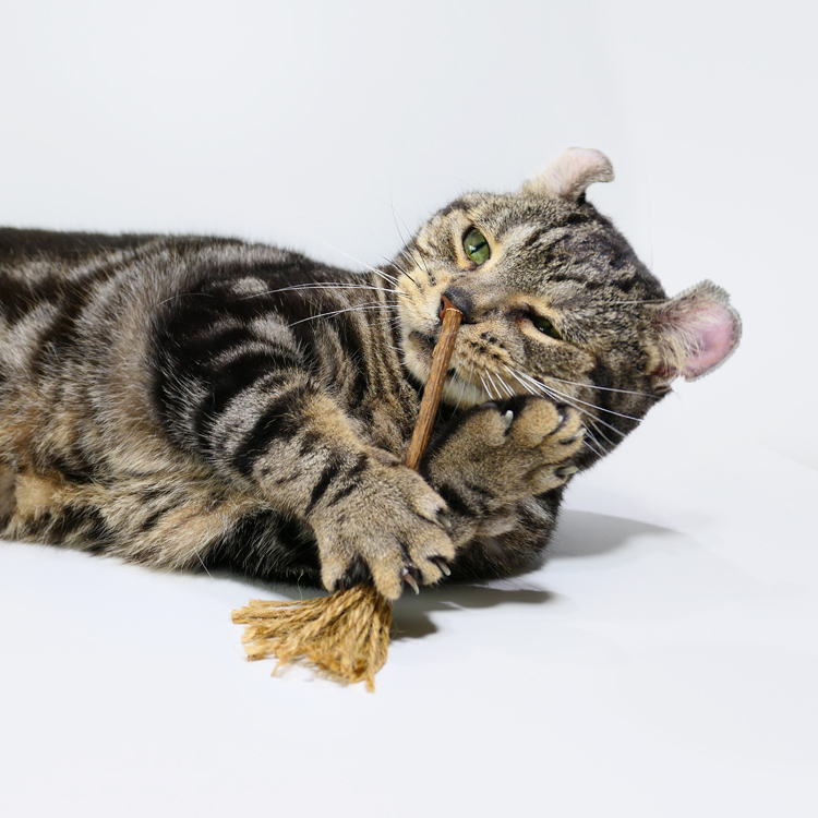 木天蓼手工磨牙玩具(4款)