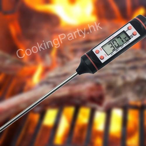 肉類溫度計 [2440]