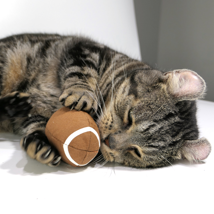 運動球造型(多款)-100%貓薄荷/木天蓼填充玩具