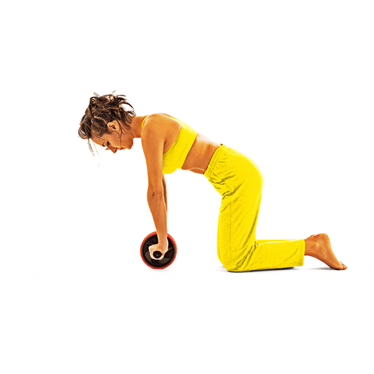 érugam erugam 健身器材 健身用品 運動健身器材 居家健身 在家健身 在家重訓 核心運動 核心肌群 健腹輪 健腹滾輪 滾輪 腹肌鍛鍊 腹肌 六塊肌 川字肌 馬甲線