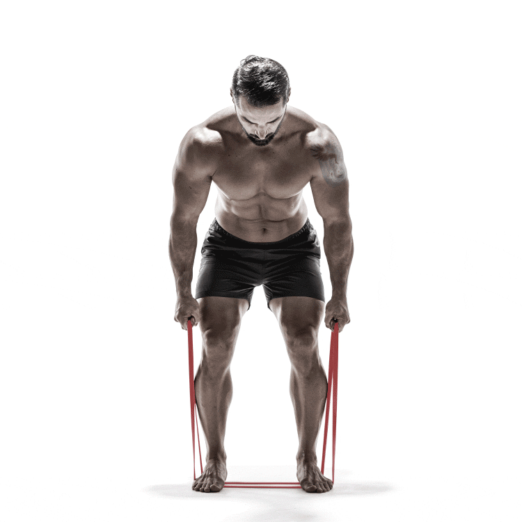 érugam erugam 健身器材 健身用品 運動健身器材 居家健身 在家健身 在家重訓 背肌 背肌鍛鍊 筋肉彈力帶 彈力繩 阻力帶 阻力繩 彈力拉繩 拉繩 重訓帶