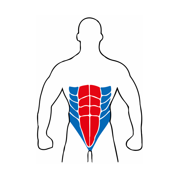 érugam erugam 健身器材 健身用品 運動健身器材 居家健身 在家健身 在家重訓 減肥 核心肌群 核心鍛鍊 腹肌