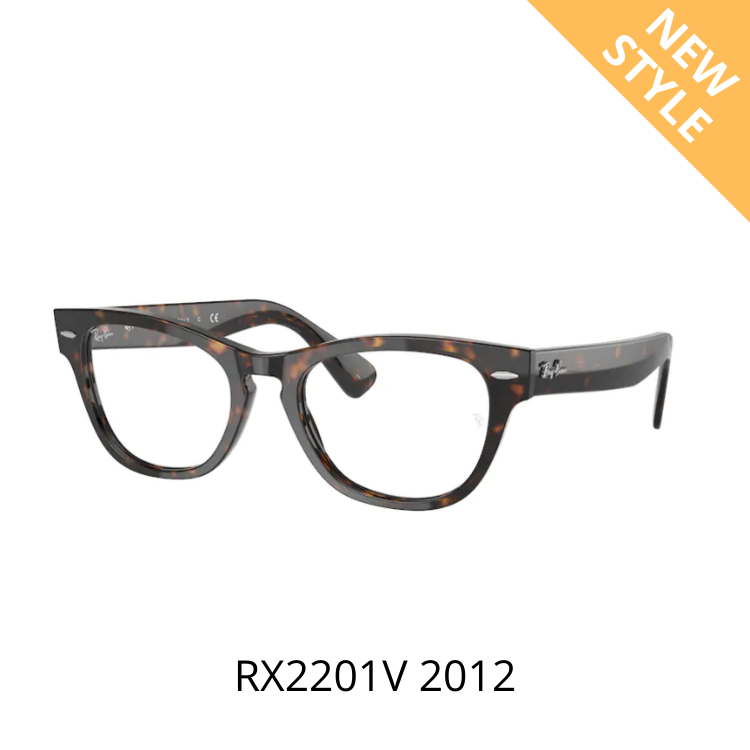 RayBan LARAMIE RX2201V 2012 眼鏡架
