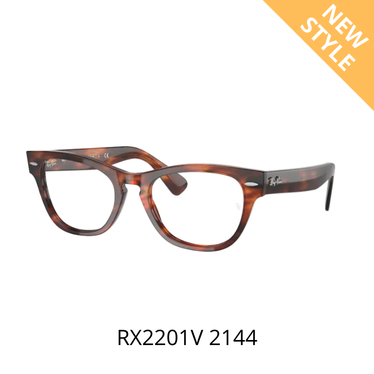RayBan LARAMIE RX2201V 2144 眼鏡架