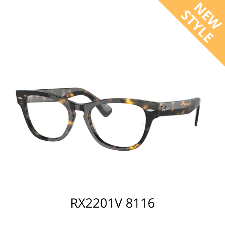 RayBan LARAMIE RX2201V 8116 眼鏡架