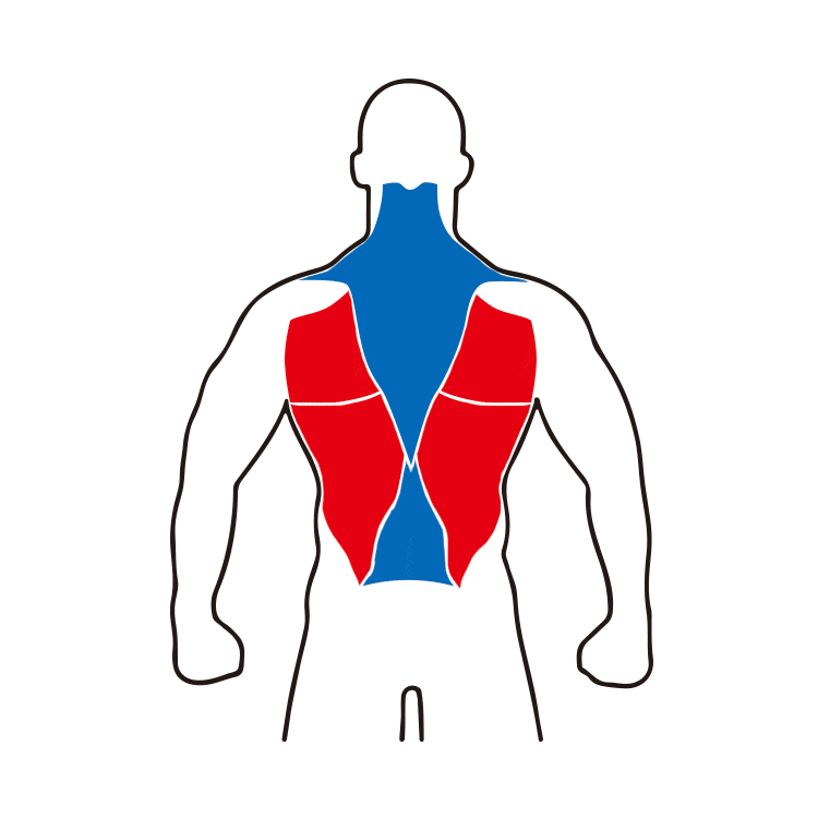érugam erugam 健身器材 健身用品 運動健身器材 居家健身 在家健身 在家重訓 背肌 背肌鍛鍊