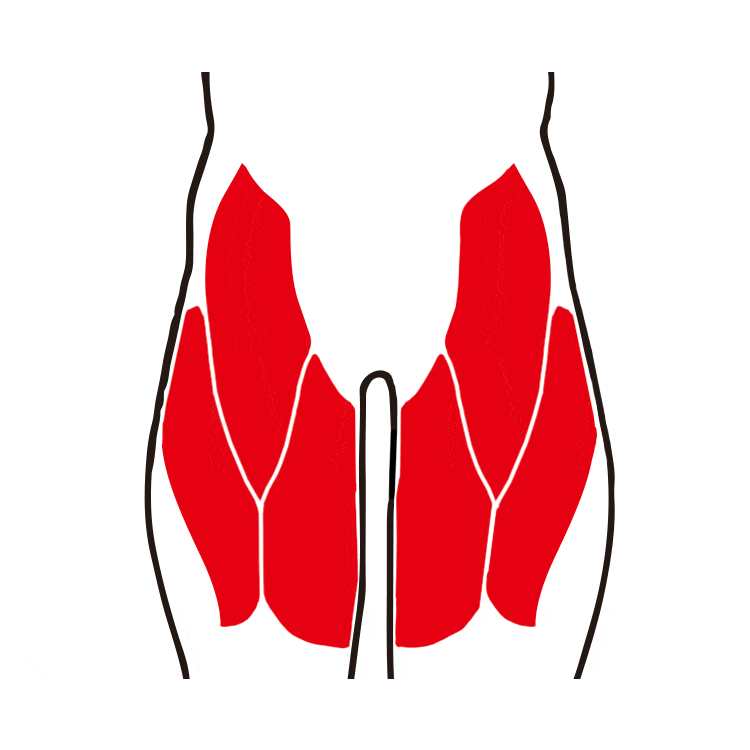 érugam erugam 健身器材 健身用品 運動健身器材 居家健身 在家健身 在家重訓 練臀 翹臀 練屁股 臀大肌 深蹲 腿肌 腿部肌肉 練腿 腿部鍛煉