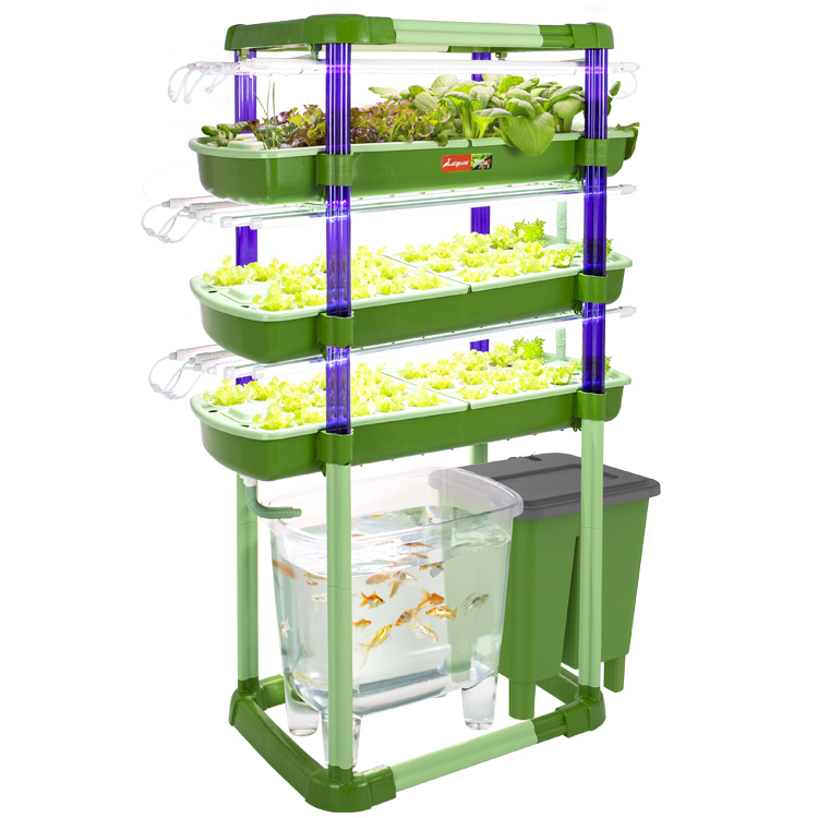 魚菜共生系統V3.0(3層)