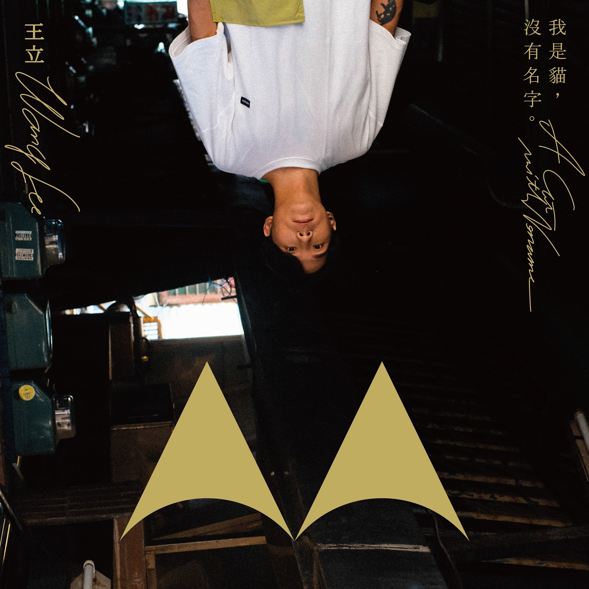【王立 Wanglee】我是貓，沒有名字。