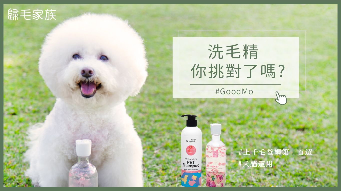 【歸毛家族GoodMo】寵物的沐浴養護，潔淨美學