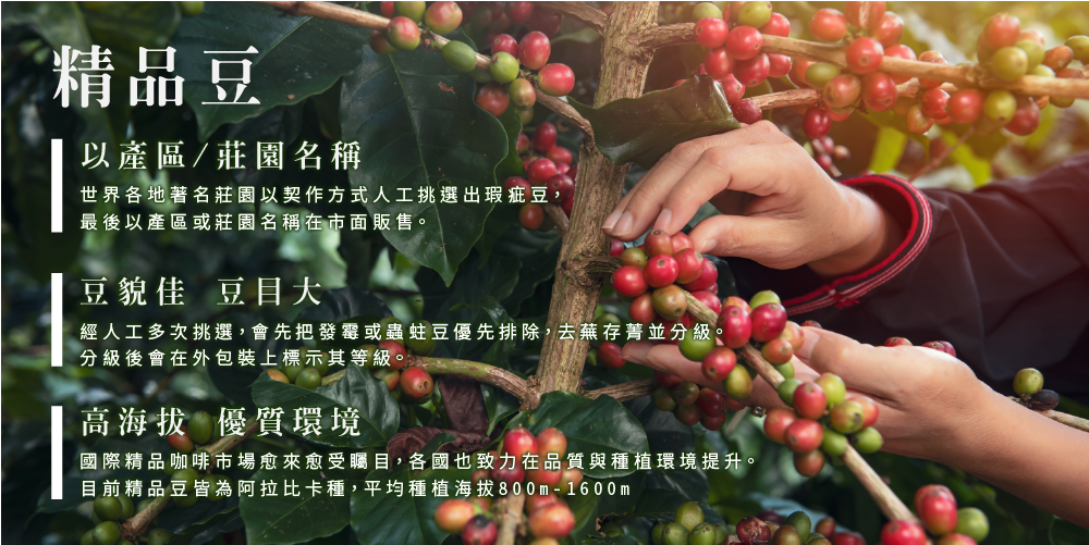 自動烘焙咖啡咖啡機MC-520A 自動烘焙咖啡咖啡機MC-520A