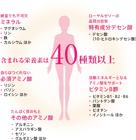 Suntory Royal Jelly +芝麻明E  30日