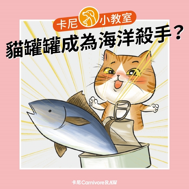 貓罐與海洋生態有關連嗎