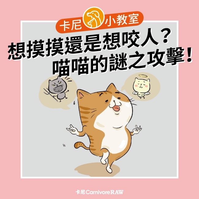 貓咪討摸摸卻咬人怎麼辦