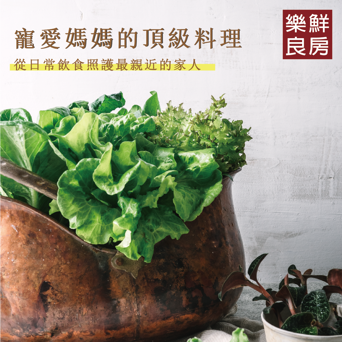 樂鮮良房-母親節特惠活動