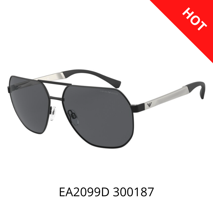 Emporio Armani EA2099D 300187 太陽眼鏡