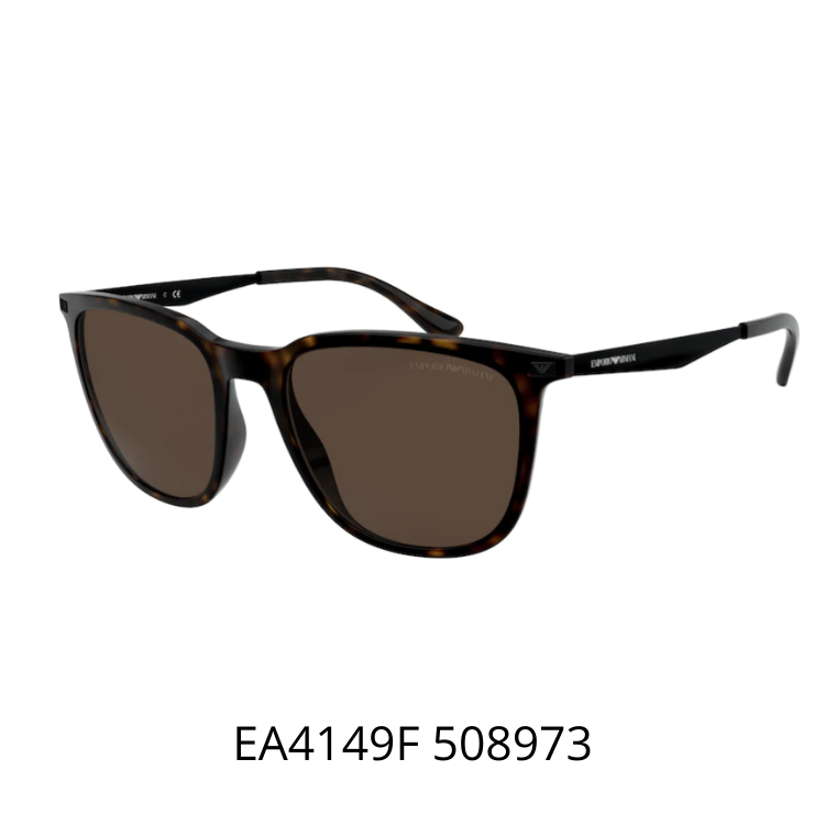 Emporio Armani EA4149F 508973 太陽眼鏡