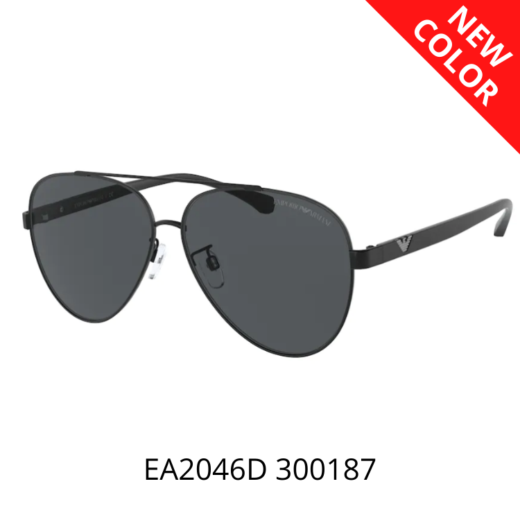 Emporio Armani EA2046D 300187 太陽眼鏡