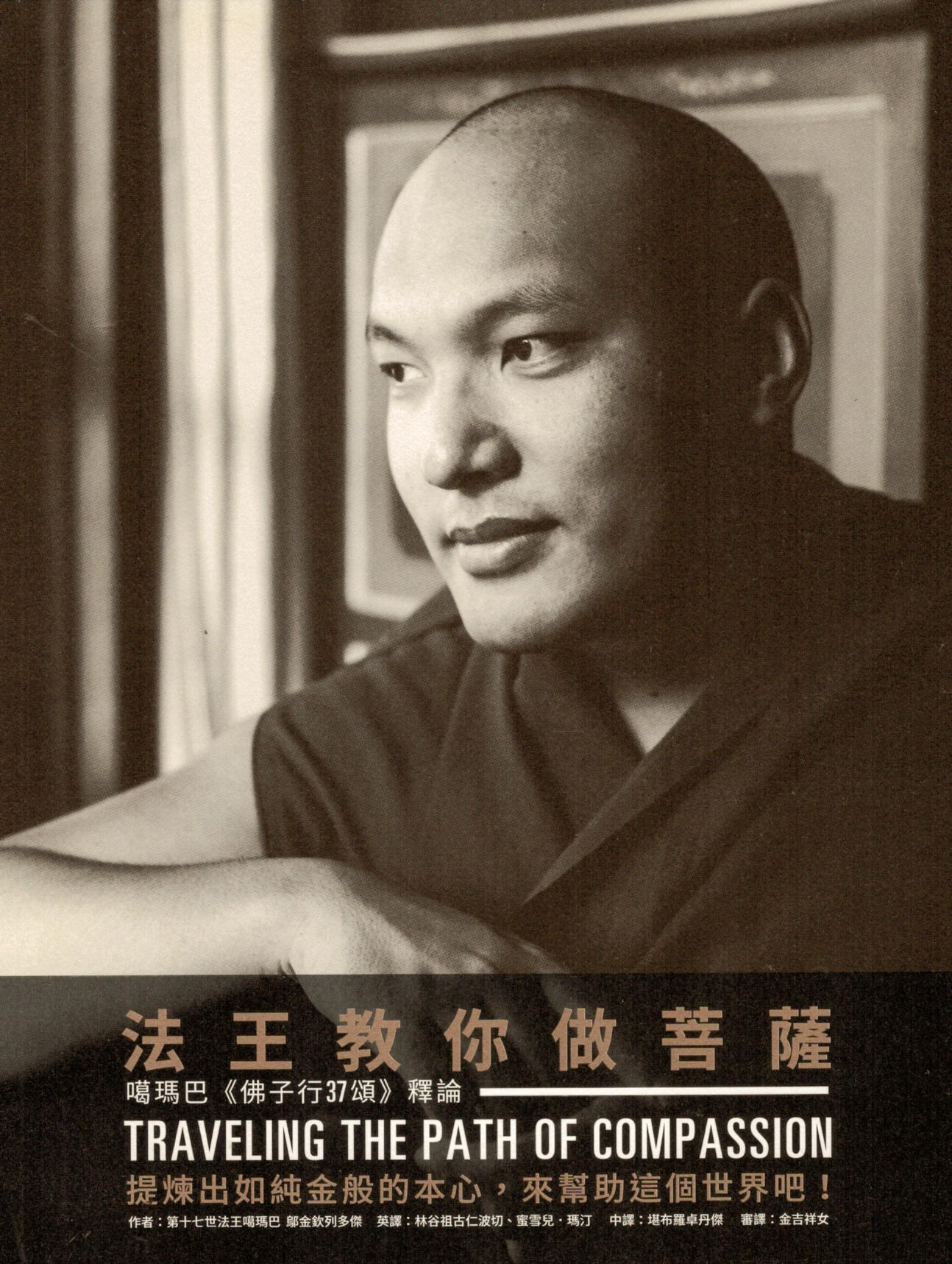 法王教你做菩薩:  噶瑪巴佛子行37頌釋論 (第3版)