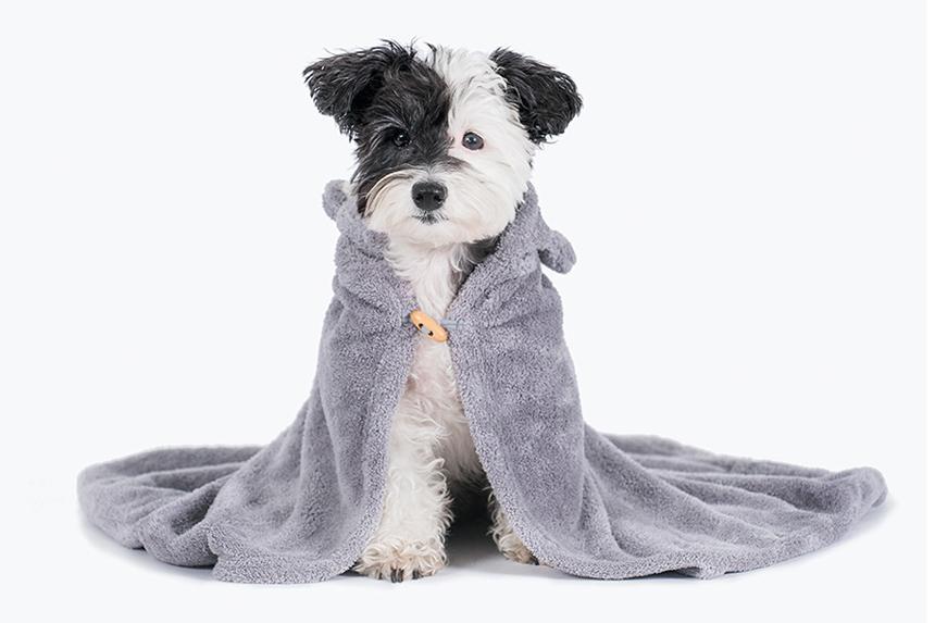 動物兜帽｜寵物毛巾｜炭灰貓 - Duit