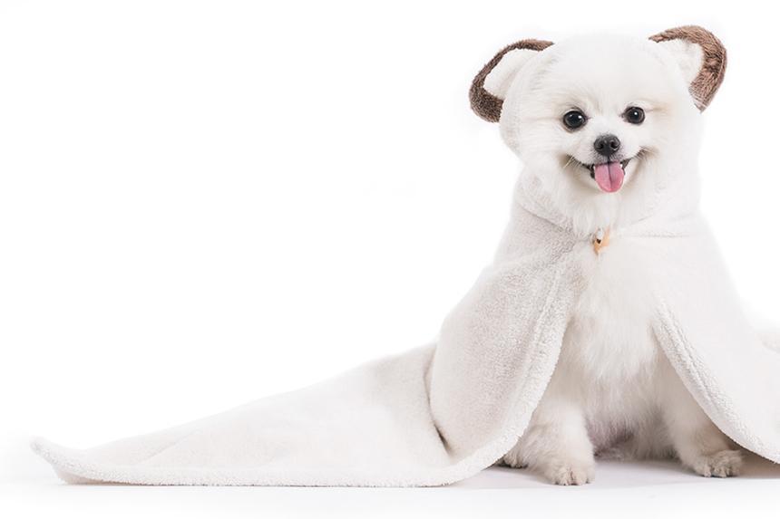 動物兜帽｜寵物毛巾｜象牙白熊-Duit