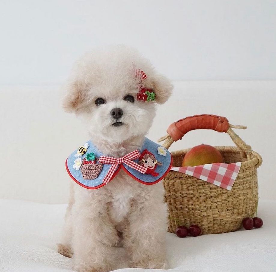 紅髮小女孩領圍