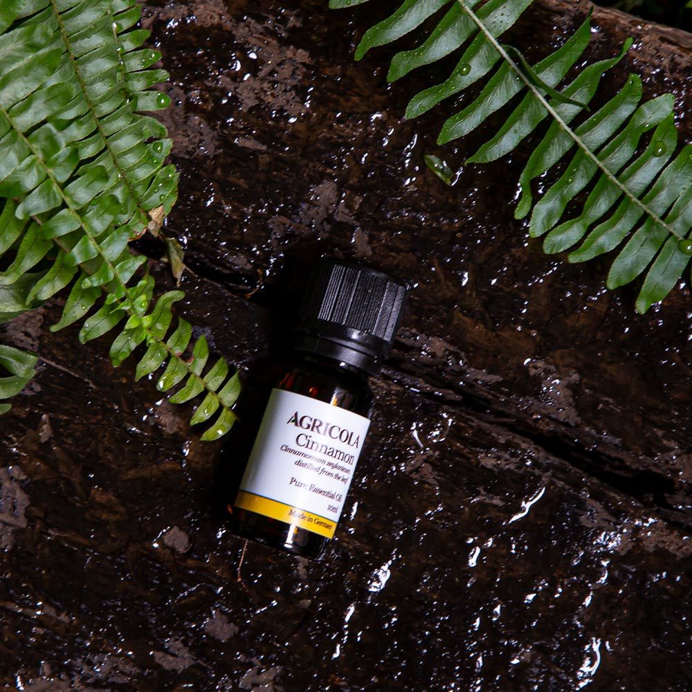 有機錫蘭肉桂葉精油 -10ml