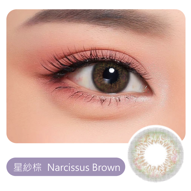 IWWI NARCISSUS BROWNY