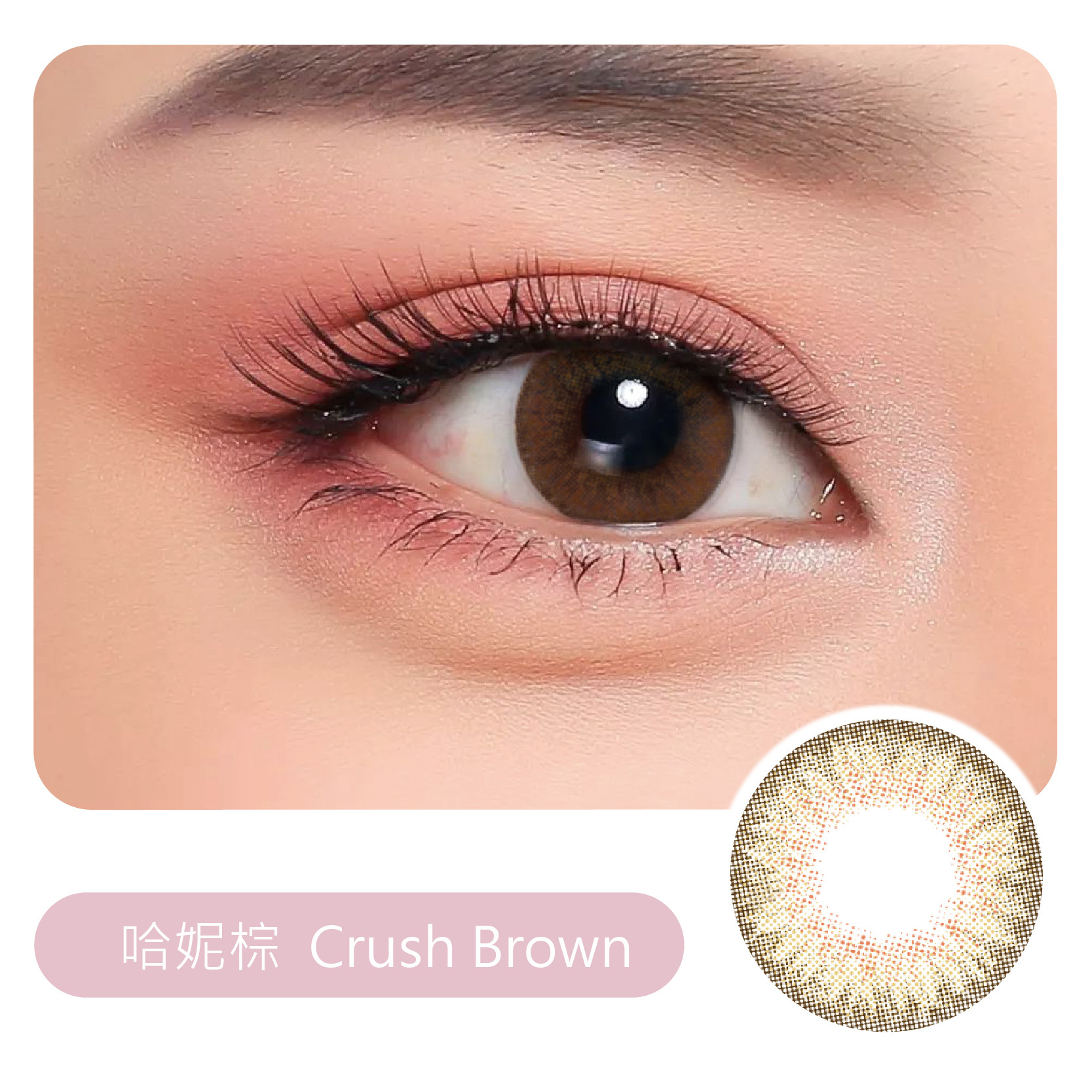 V138新哈妮棕(2片/盒)