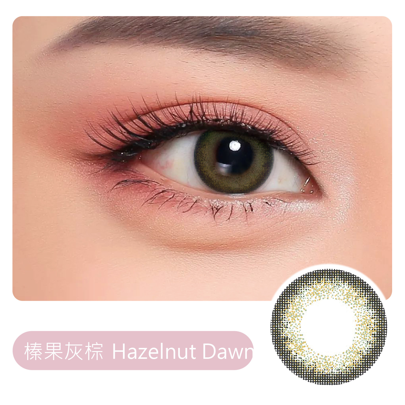 V13榛果灰棕(1片/瓶)