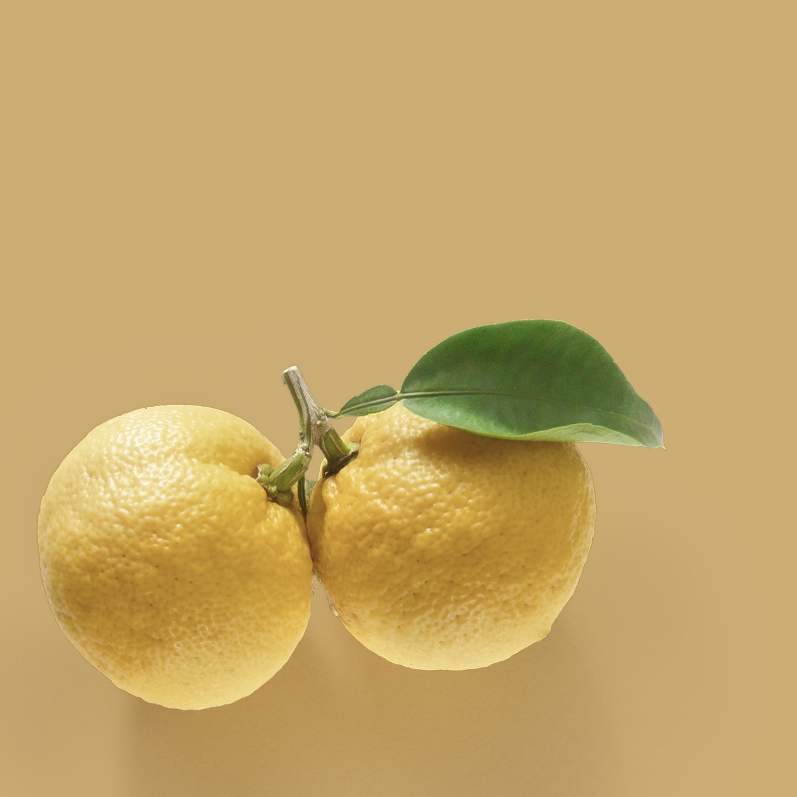 Japanese Yuzu 日本柚子 香氛蠟燭 - AYDRY & Co.