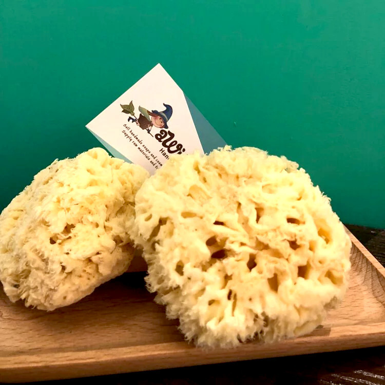 希臘天然海綿（絲絨（絲綢）／蜂窩）