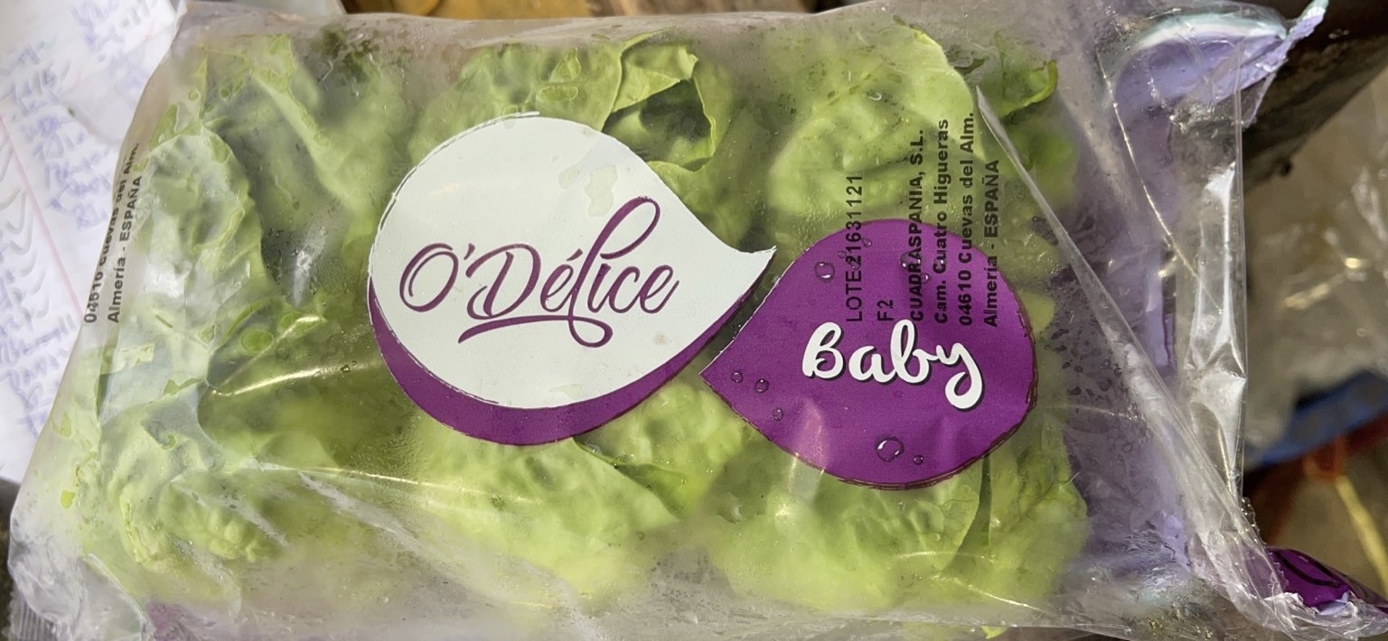 西班牙🇪🇸羅紋芯BB