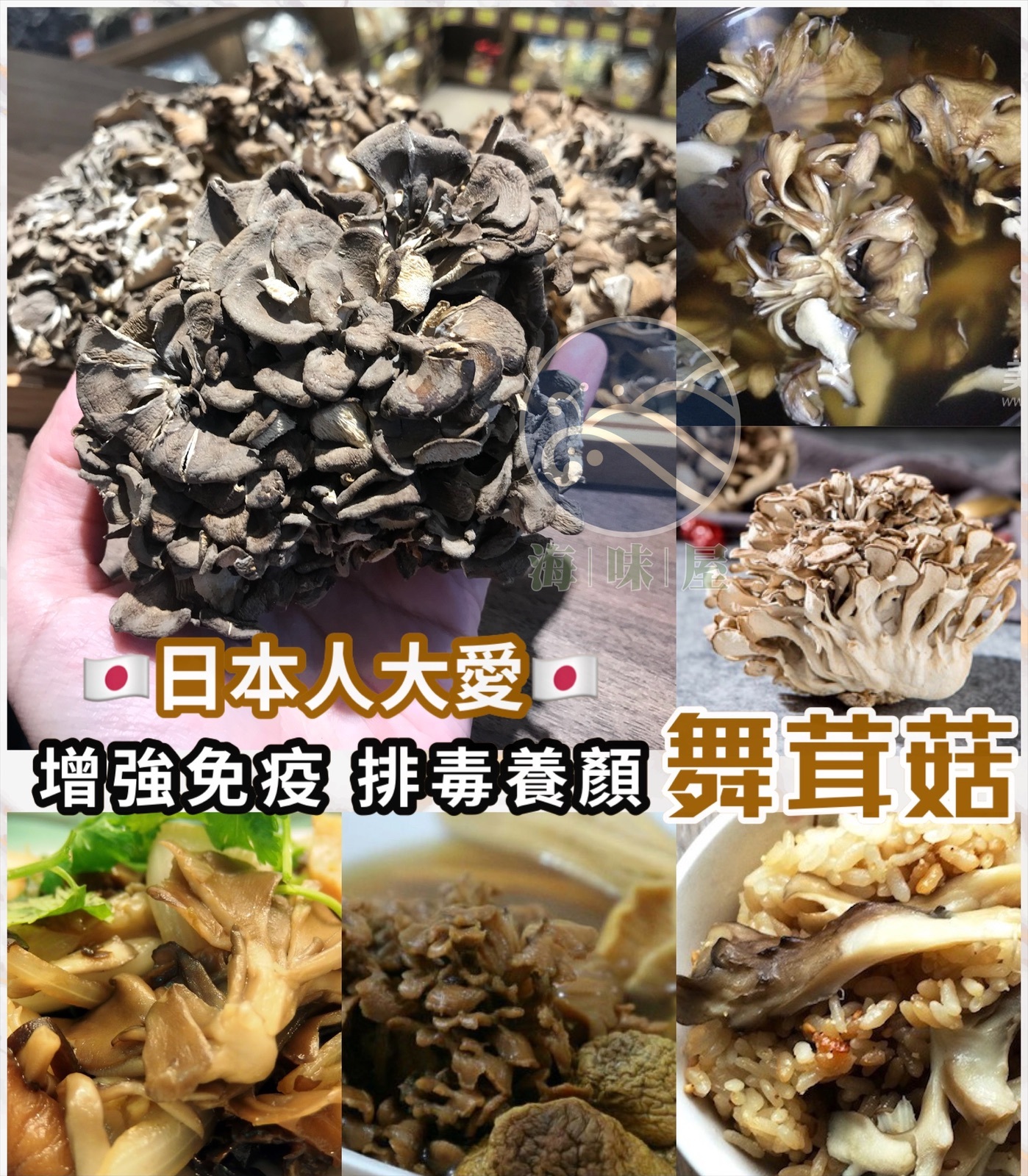 舞茸菇