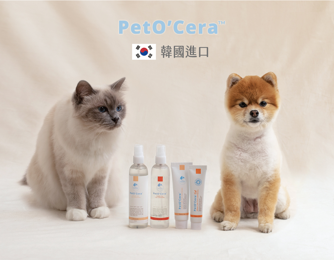 Peto Cera 韓國積雪草洗護系列 最呵護貓狗的頂級保養品 22 展昭台中寵物用品展 口碑場