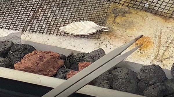 中階課程 基礎焊接