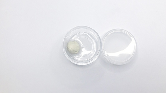 中階課程 銀膏的運用