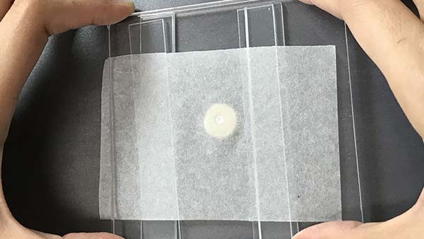 中階課程 寶石鑲嵌方法大公開