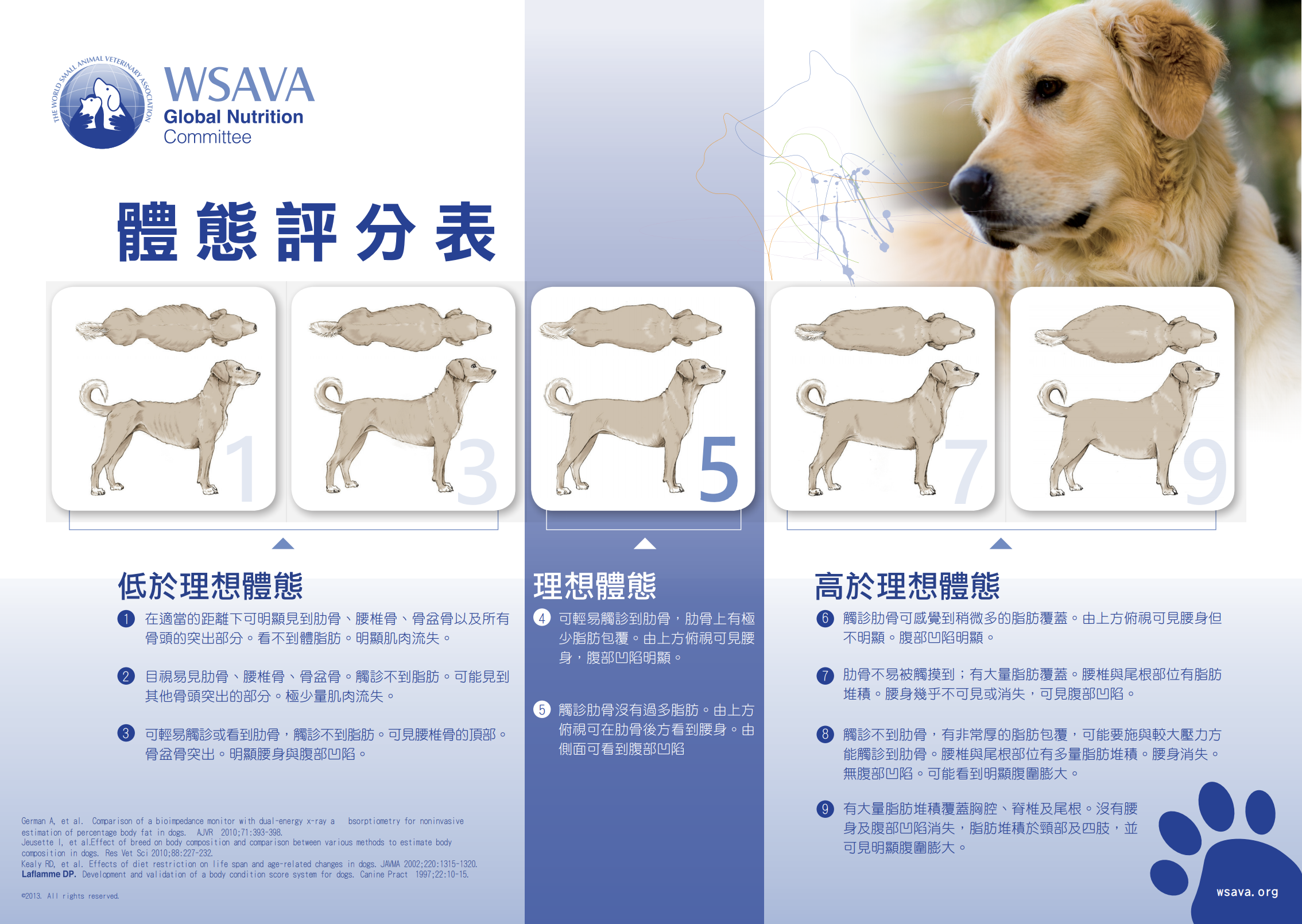 Body Condition Score身體狀態評分(狗)