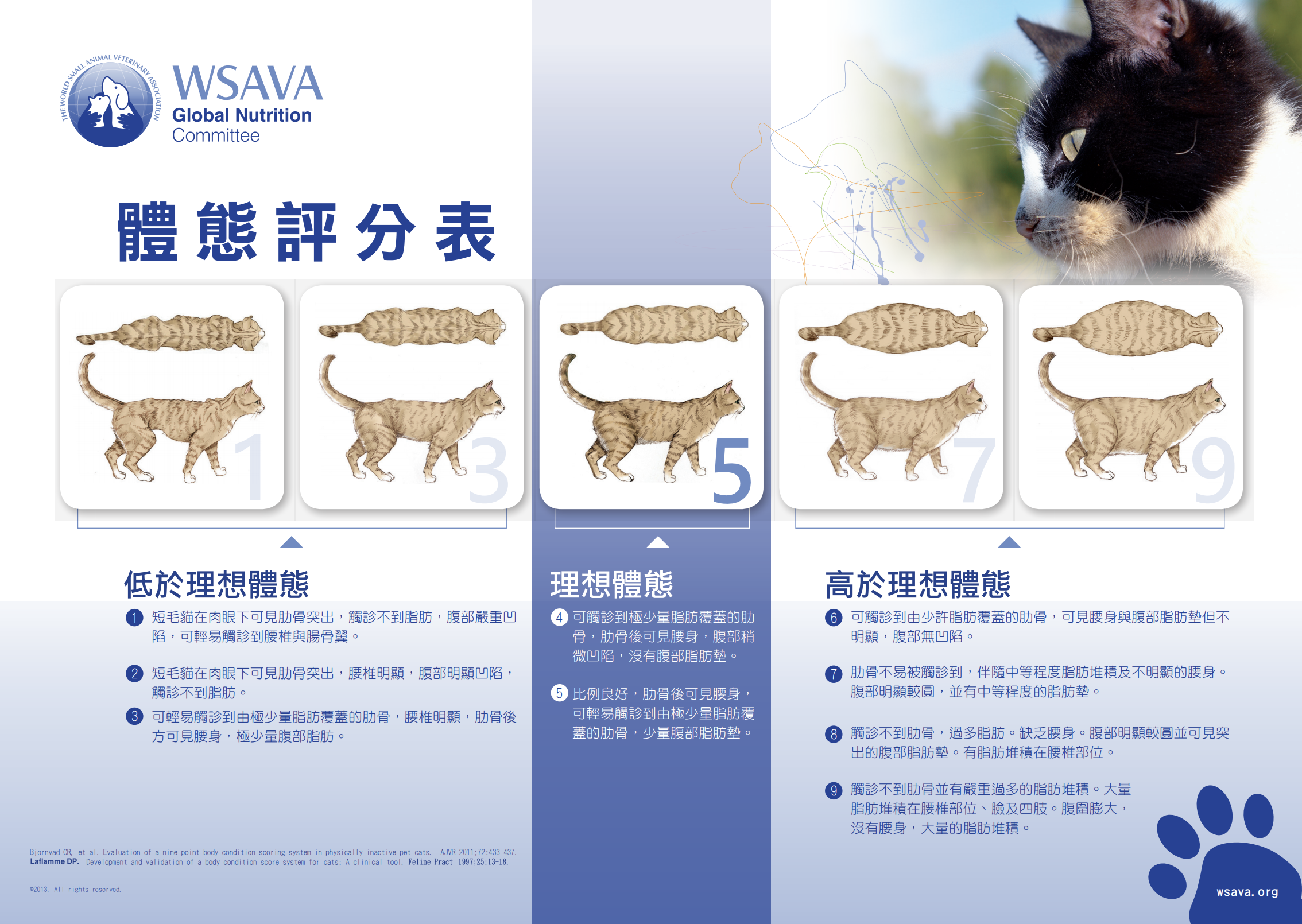 Body Condition Score 身體狀態評分（貓）