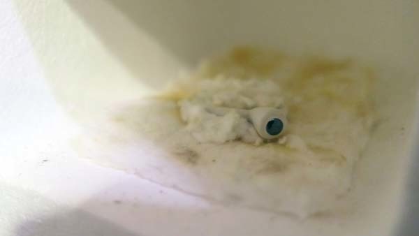 初階課程 基本戒指製作步驟