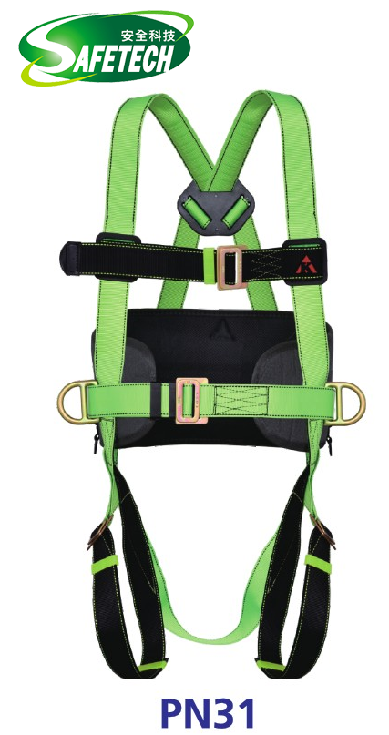 Karam PN31 Harnesses