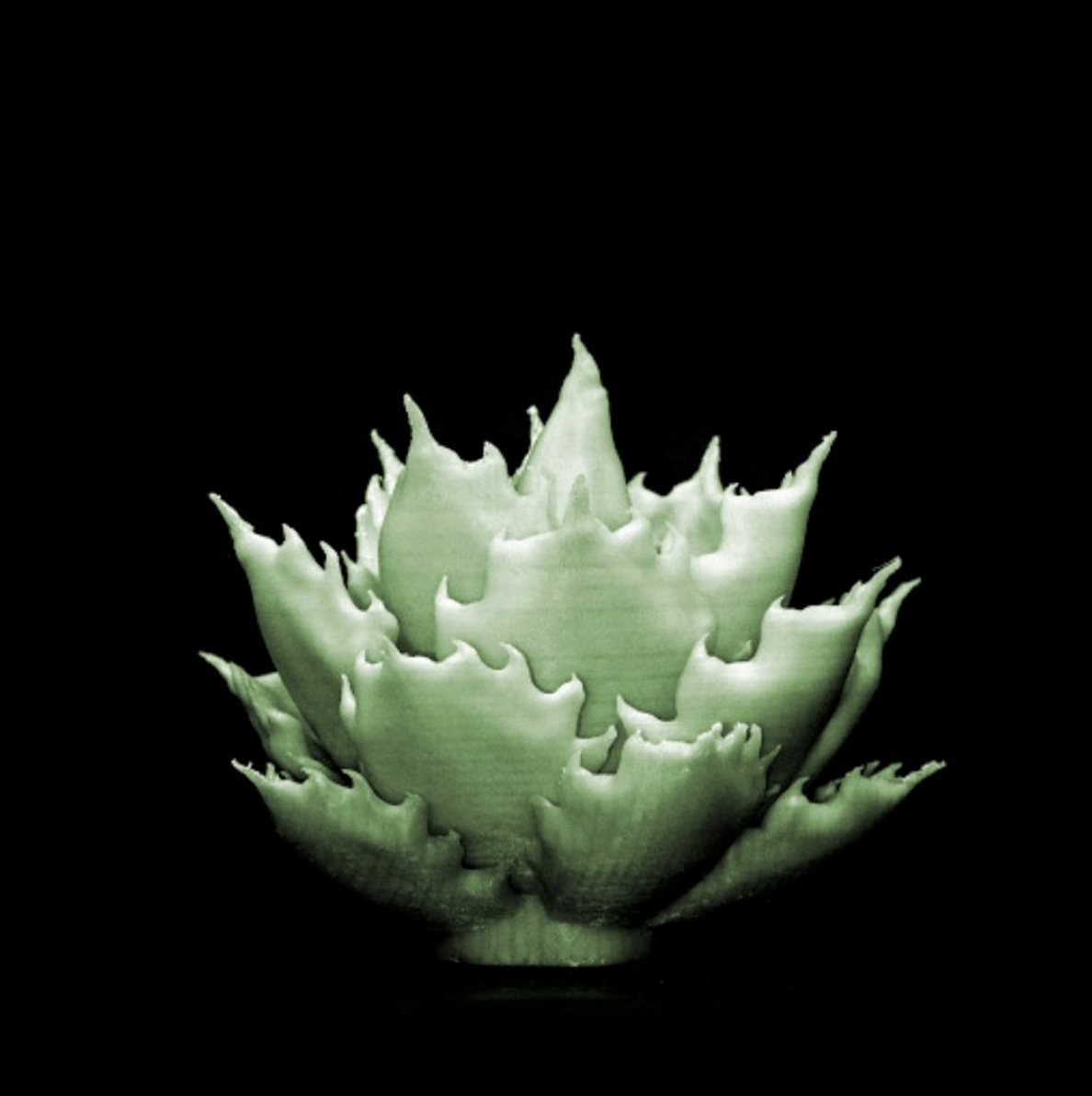 日本製 3D PRINT 擺設 | 夜光版 M 【Lobindon】